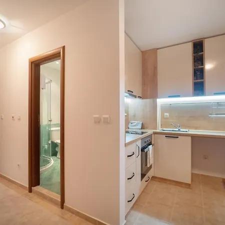 Pirin Sense Gorgeous Ap - Free Parking Διαμέρισμα Μπάνσκο